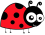 ladybug