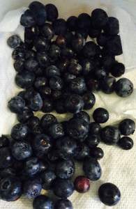 blueberries